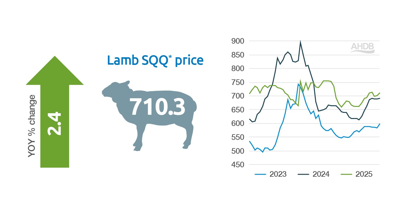 A line graph showing GB SQQ lamb prices (pence/kg deadweight) for 2023, 2024 and 2025.